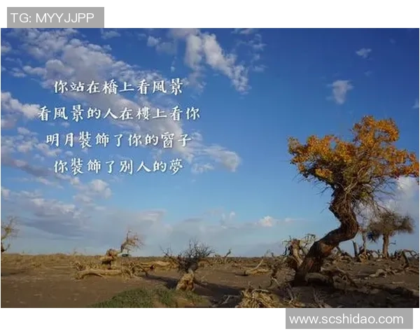 张强的网球人生深度对话：从青涩少年到职业选手的心路历程与成长故事